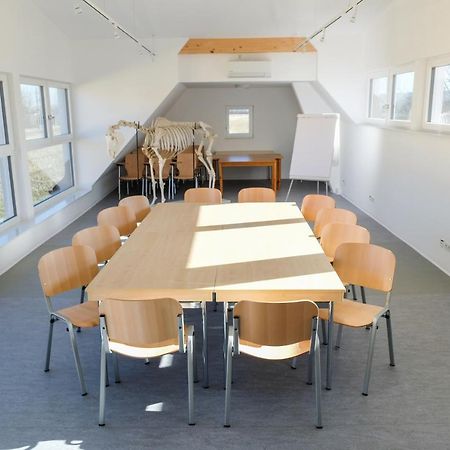 Equiliber Reitkunstzentrum Burgenland Wulkaprodersdorf Exteriér fotografie