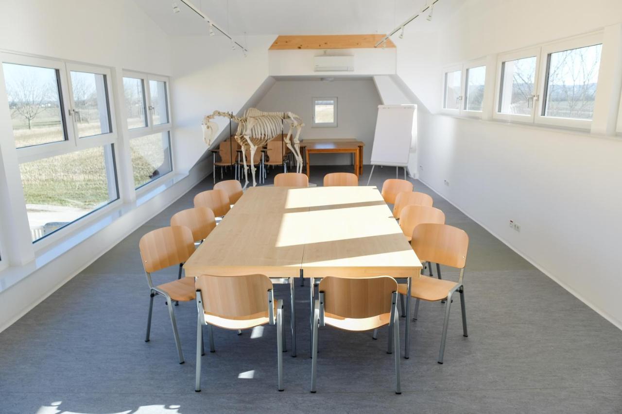 Equiliber Reitkunstzentrum Burgenland Wulkaprodersdorf Exteriér fotografie